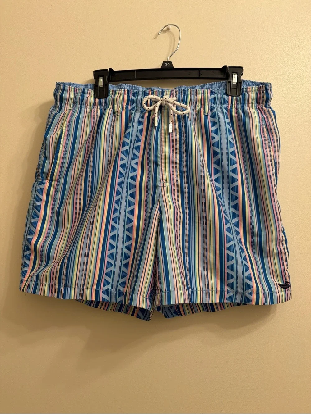Southern Marsh Blue Multistripe Swim Trunks